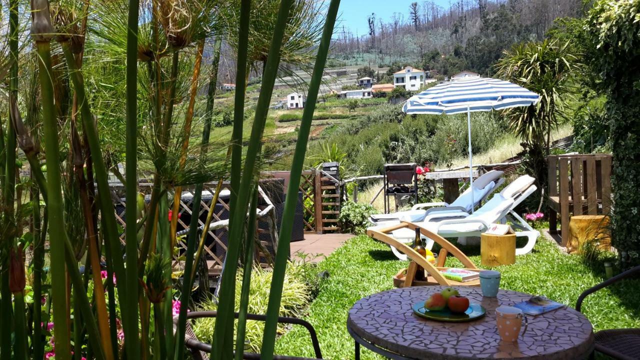 Beautiful Apartment Fontes Calheta  Eksteriør billede